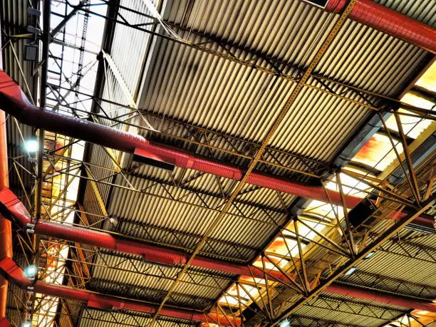 Pipe Hangers & Supports